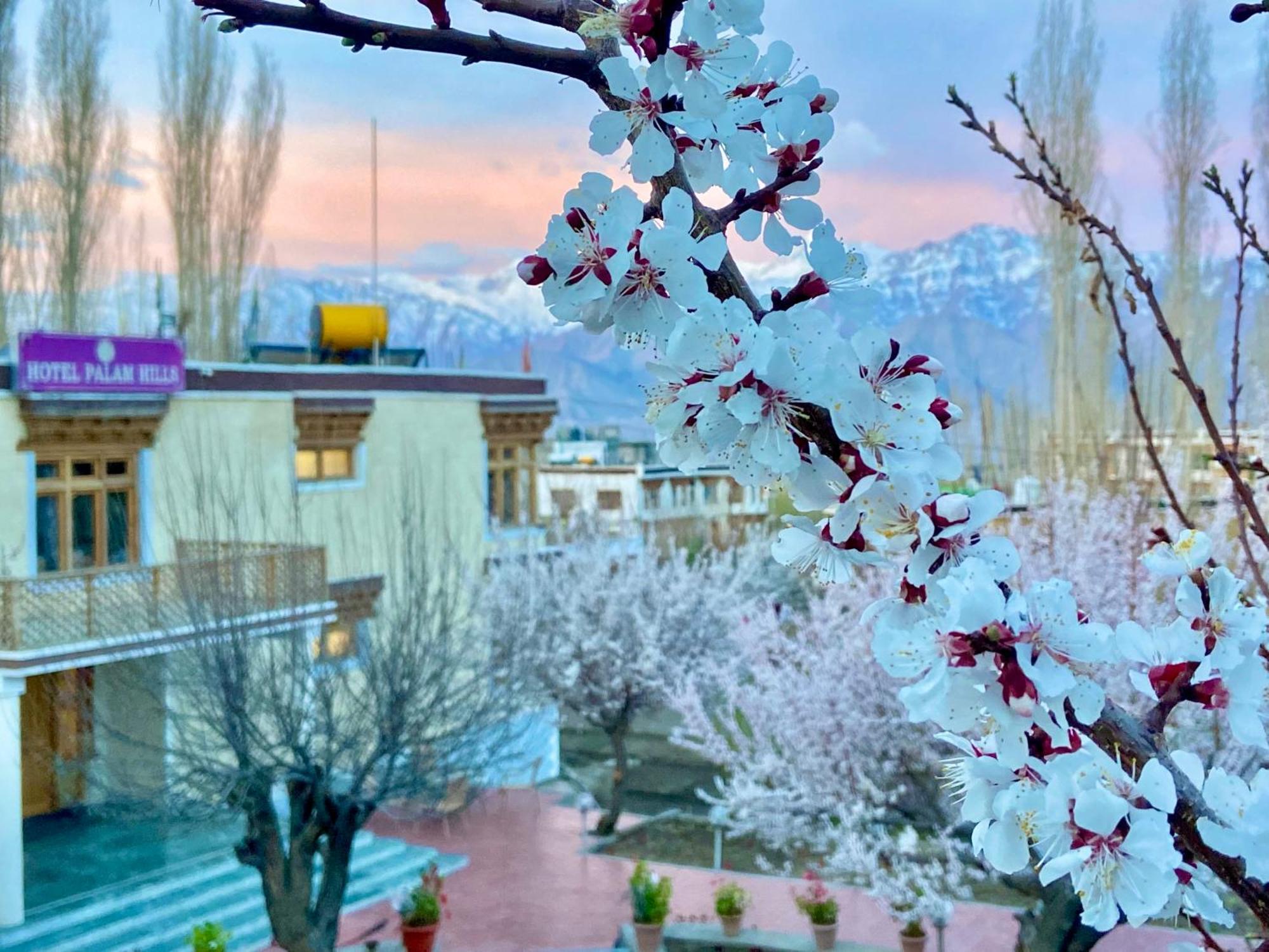 Hotel Palam Hills Лех Экстерьер фото