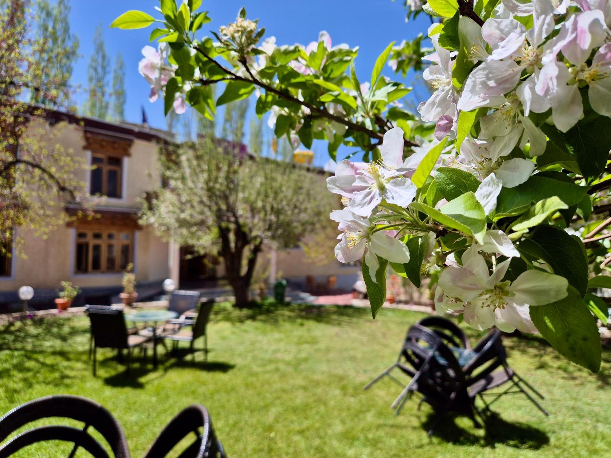 Hotel Palam Hills Лех Экстерьер фото